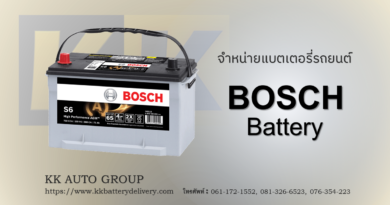 Bosch Battery
